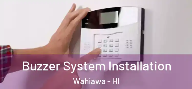 Buzzer System Installation Wahiawa - HI