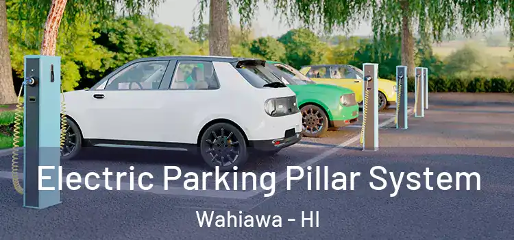  Electric Parking Pillar System Wahiawa - HI